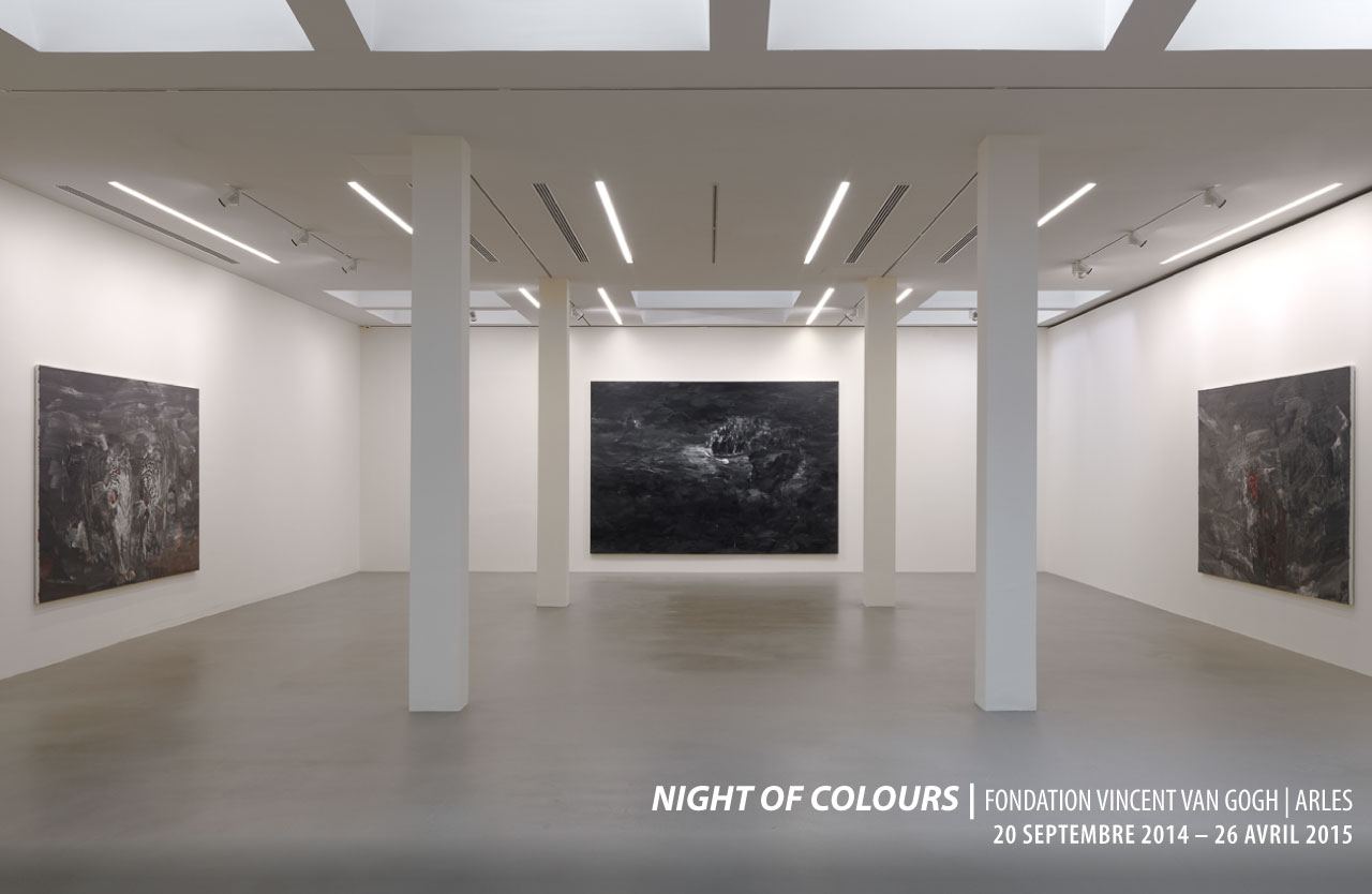 2014_night-of-coulor_fvvg_arles