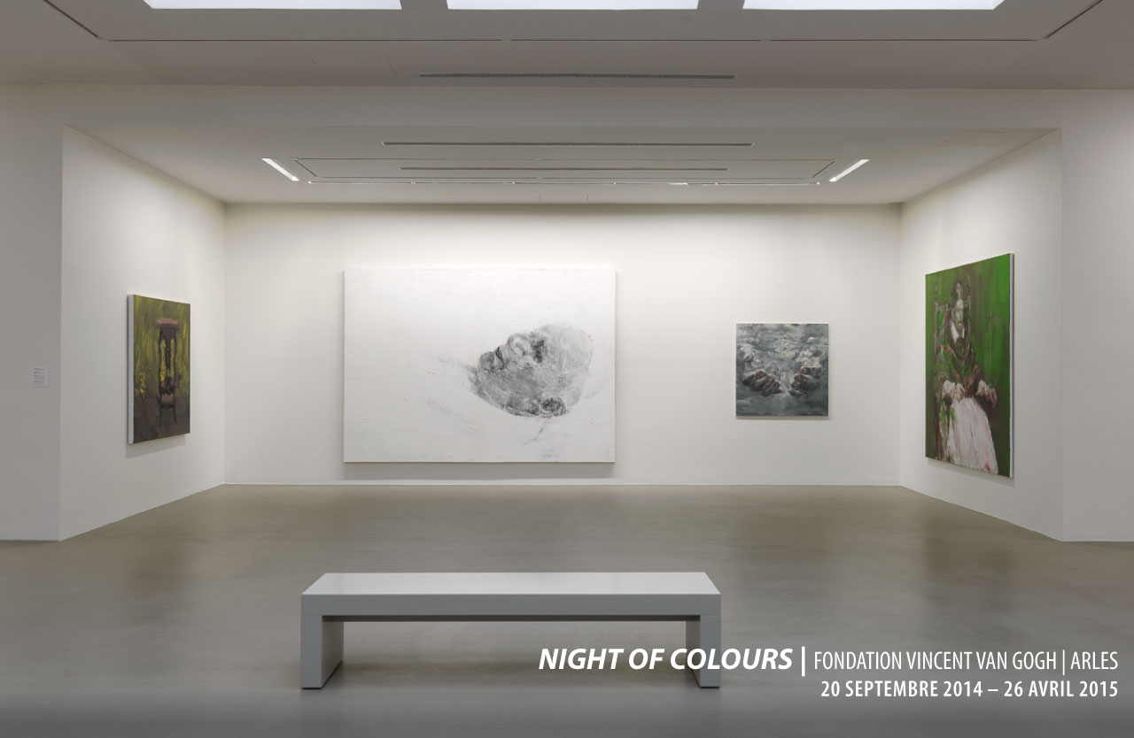 2014_night-of-coulor_fvvg_arles