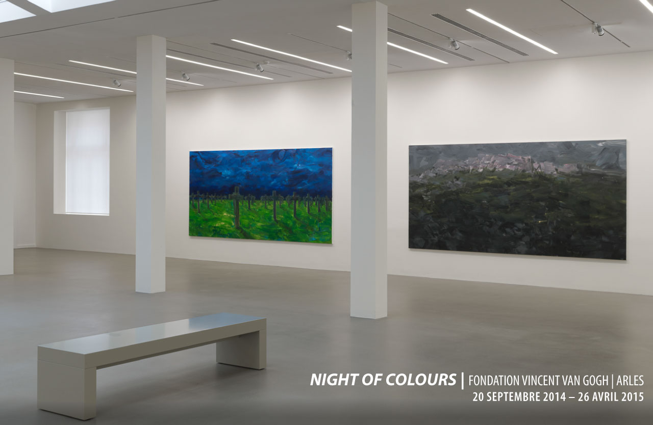 2014_night-of-coulor_fvvg_arles