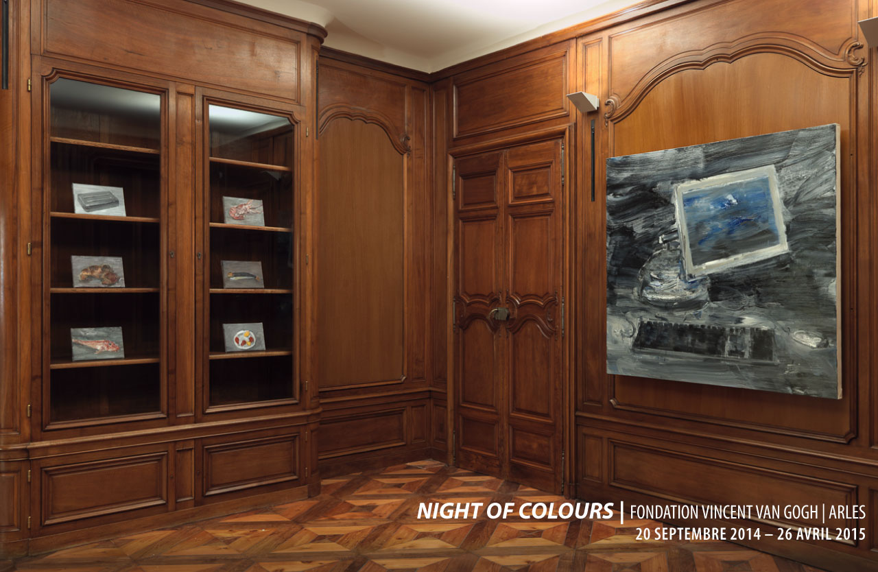 2014_night-of-coulor_fvvg_arles